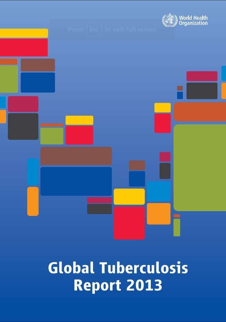 Global TBC Report 2013