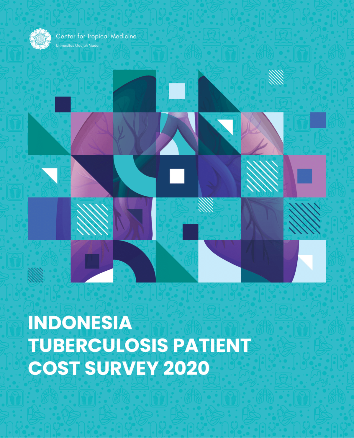 Indonesia Tuberculosis Patient Cost Survey 2020